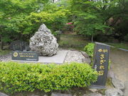 �Ԃ���񂳂�̑呺�_�Ђ̓��e�ʐ^1