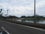 �Ԃ���񂳂�̑��C������̓��e�ʐ^1