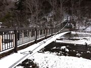 ���ʂ�����̍g�̒݋��̓��e�ʐ^1