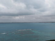 �L������̖q�R�W�]��̓��e�ʐ^3