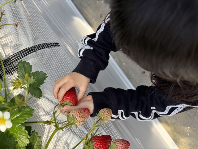 �嗱�ŐH�ׂ������ō�_�䂢�܁[��FARM