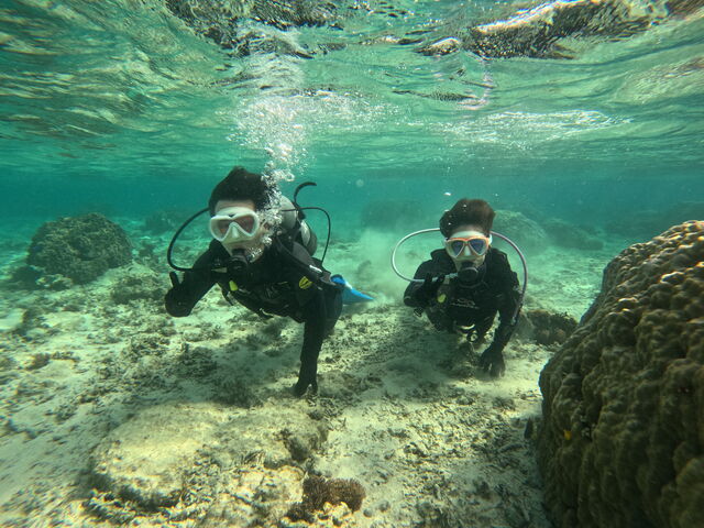 ����_����}�����T�[�r�X��