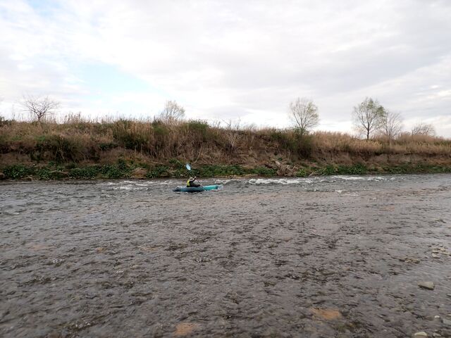 ���悵����̃J�k�[�̌��u�t�^�R�̃��^�V�v�̓��e�ʐ^1