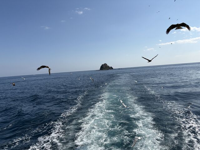 �͂�Ђ�ۗV���D�C���J���ŃJ�����ɂ��т���a���
�i2026�N2���������B�e�j
_�͂�Ђ�ۗV���D�C���J��