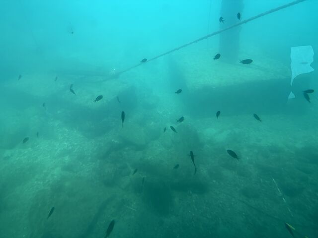 �͂�Ђ�ۗV���D�C���J���O���X�{�[�h�ŃX�Y���_�C�Ȃǋ��ӏ�
�i2026�N2���������B�e�j
_�͂�Ђ�ۗV���D�C���J��