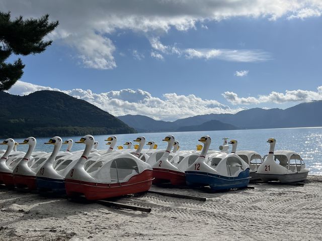 �Â��ȌΔȂ��U�����܂���_�c���