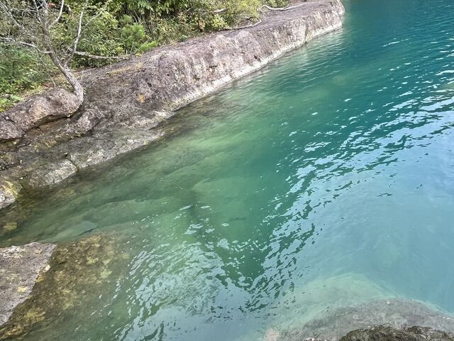 �����ɂ܂��s���ē����ʂ�G�������h�O���[����
�Y��ł���_�c���