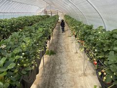 �����@�Ԃ�������߂̎ʐ^1