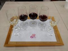 ���C���V���g�[�唗�̎ʐ^1