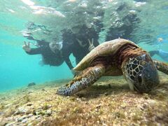 �{�Ó� ADVENTURE PiPi�̎ʐ^1