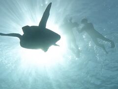 �}�����V���b�vHAPPY�̎ʐ^1