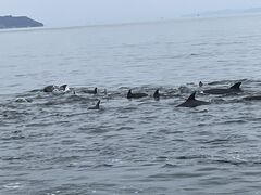 �C���J�E�H�b�`���O��t�\��Z���^�[�̎ʐ^1