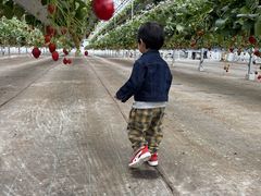 �P���P���̓m�̎ʐ^1