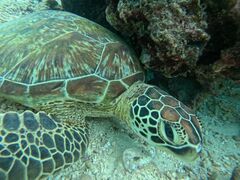 �}�����V���b�vHAPPY�̎ʐ^1