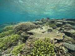 �}�����V���b�vHAPPY�̎ʐ^2