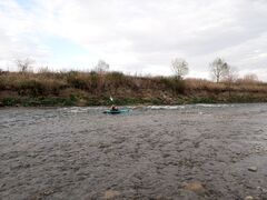 �J�k�[�̌��u�t�^�R�̃��^�V�v�̎ʐ^1