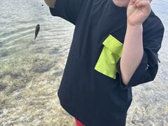 �䂵�䂵�̎ʐ^1