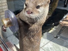 ���c�C�������ق̎ʐ^1