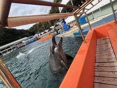 ���c�C�������ق̎ʐ^2