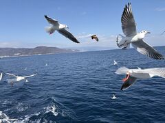 �͂�Ђ�ۗV���D�C���J���̎ʐ^2