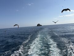 �͂�Ђ�ۗV���D�C���J���̎ʐ^4