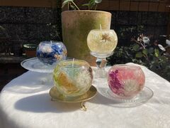 �L�����h�����[�N�̃G�����{�̎ʐ^1