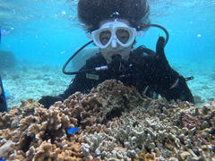 ����������̉���}�����T�[�r�X�ɂւ̓��e�ʐ^1