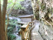 �������̗��⎛�̓��e�ʐ^5