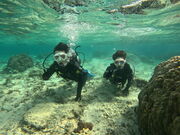 �݂��ӂ��[����̉���}�����T�[�r�X�ɂ̓��e�ʐ^1