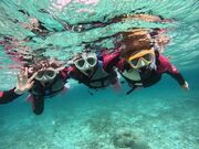 Miku����̉���}�����T�[�r�X�ɂ̓��e�ʐ^1