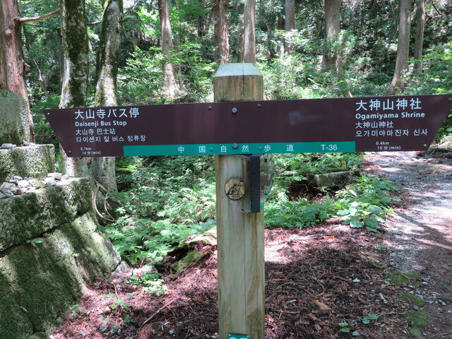 �Ԃ���񂳂�̒������R�V�������f���R�[�X�̓��e�ʐ^1