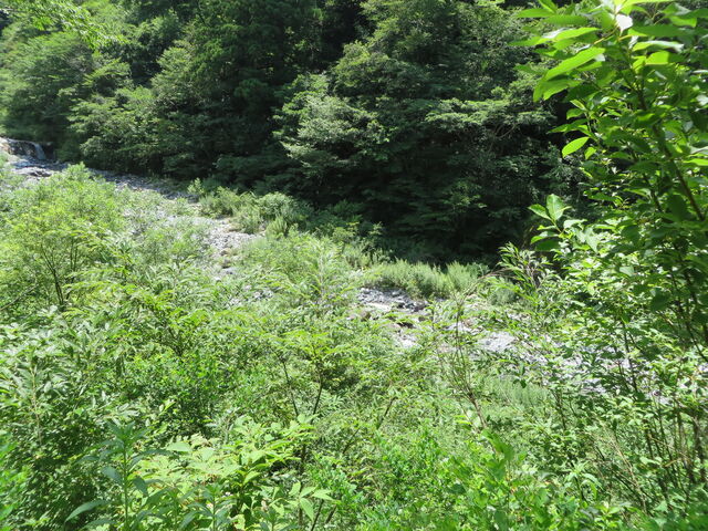 ���M_�΂̉͌�