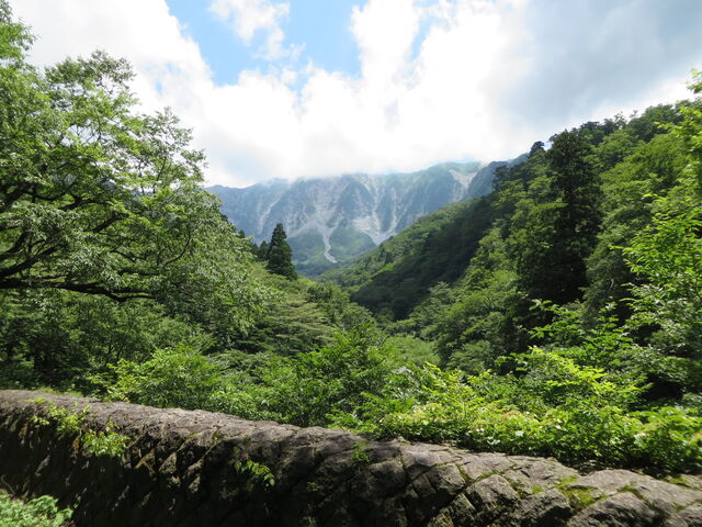 ��R_�΂̉͌�