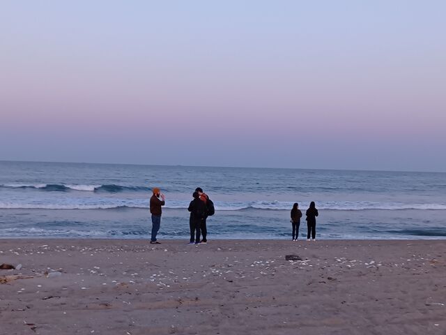 ����������̓���l�C�݂̓��e�ʐ^4