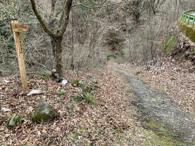 �Ɩ�����̉J��̑�i�����j�̓��e�ʐ^5