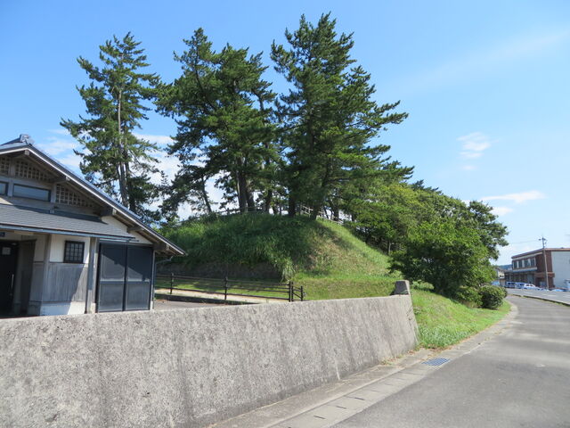 �Ԃ���񂳂�̗��]���Ղ̓��e�ʐ^2