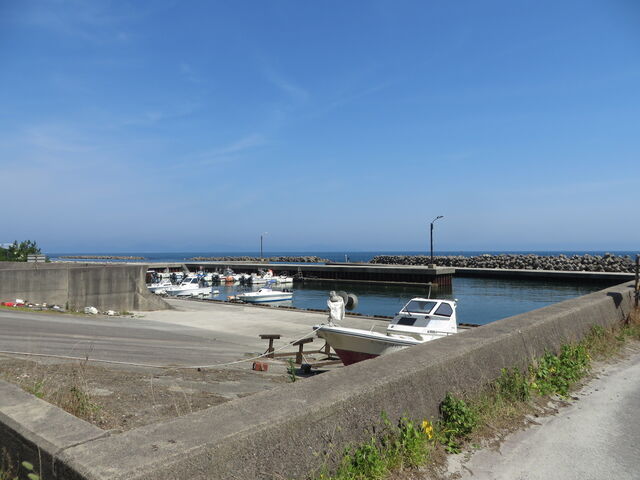 �Ԃ���񂳂�̓��g�Ñ��C�l�^�������̓��e�ʐ^2