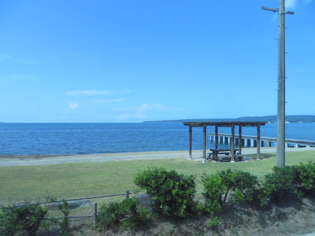 �Ԃ���񂳂�̍��a�c�C�݂̓��e�ʐ^1