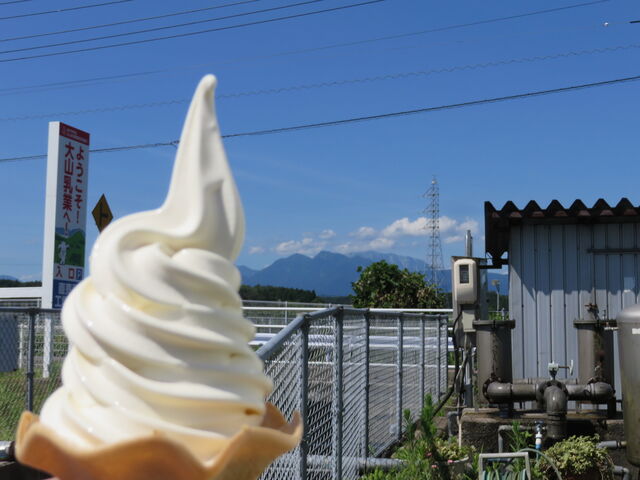 �Ԃ���񂳂�̑�R���Ɣ_���̓��e�ʐ^2