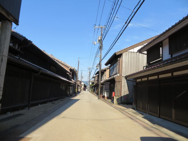 �Ԃ���񂳂�̔��������̓��e�ʐ^1