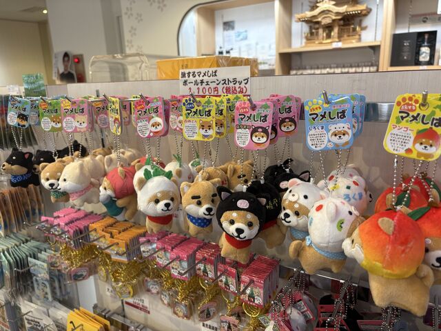�����n_SHIROYAMA HOTEL kagoshima