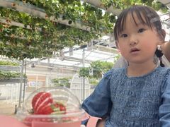 �P���P���̓m�̎ʐ^1