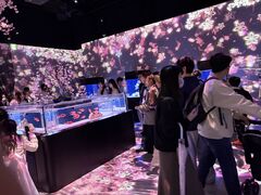 ���т���̃}�N�Z�� �A�N�A�p�[�N�i��ւ̓��e�ʐ^1