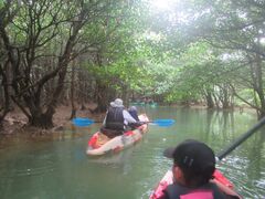 �ꕶ�g���C�u�X�̎ʐ^1