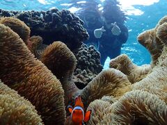 �ꕶ�g���C�u�X�̎ʐ^1