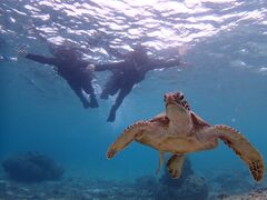 �ꕶ�g���C�u�X�̎ʐ^2