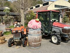 �ɉ�̗����N���N��Â���t�@�[���̎ʐ^1