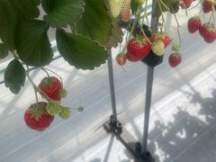 �]�Ԃ��������Z���^�[�̎ʐ^1