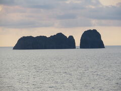 �Ԃ���񂳂�̊����ւ̓��e�ʐ^1