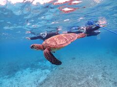 MONKEY NAVY�̎ʐ^1